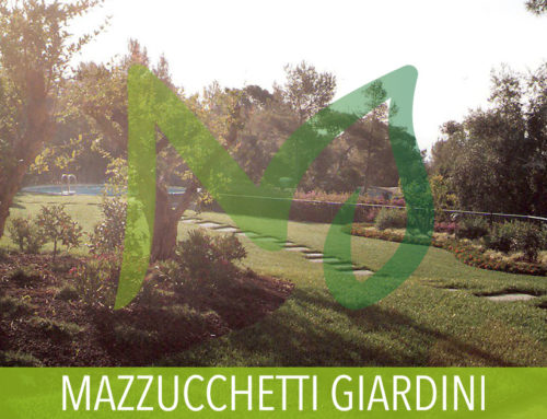 Trasformazione di un giardino