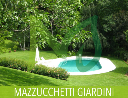 Giardino tra i boschi